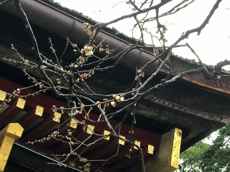年末年始の営業日時のお知らせ
