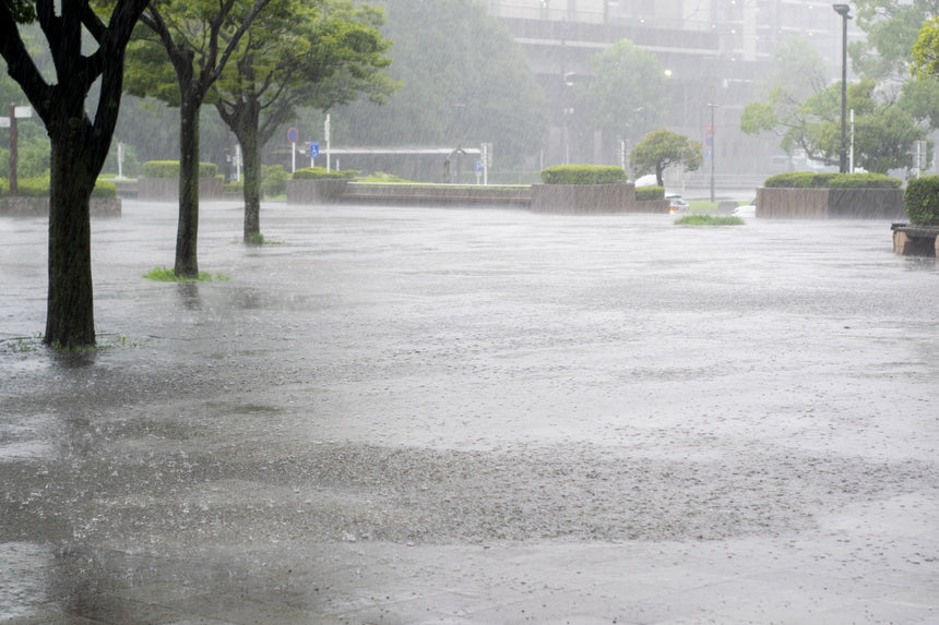 大雨による集荷停止のお知らせ(令和3年8月14日現在)