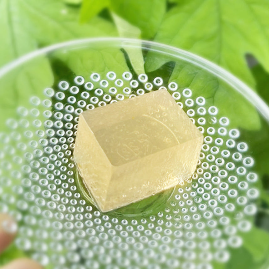 【夏季限定♪】青梅使用 梅のしずく