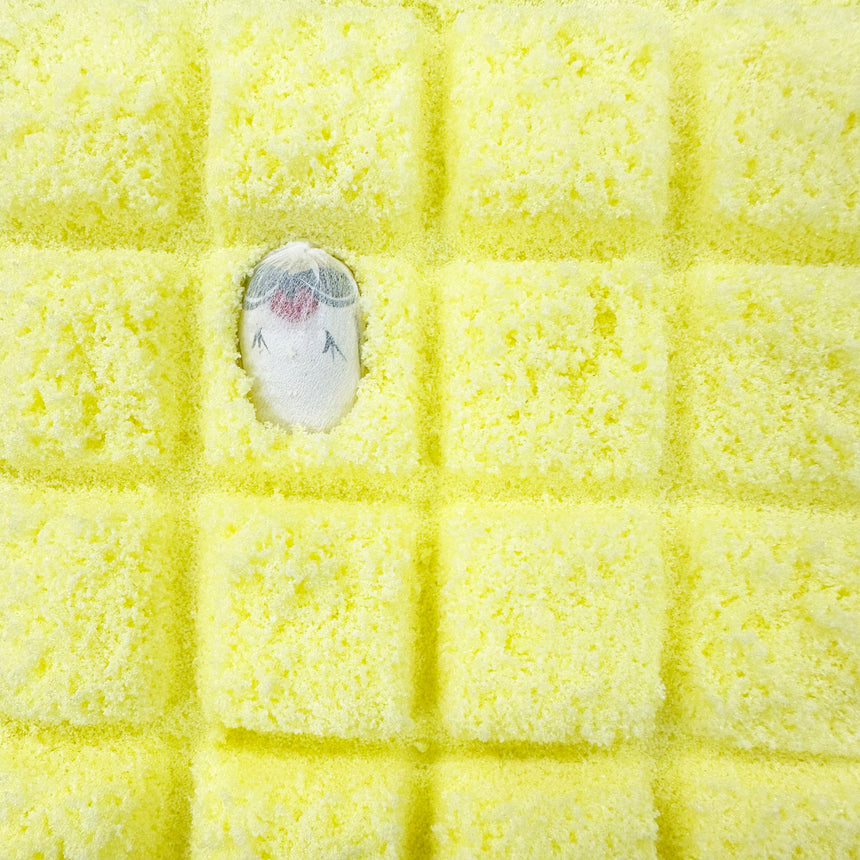 【夏季限定】うその餅　夏レモン【8/23(土)〜順次発送】
